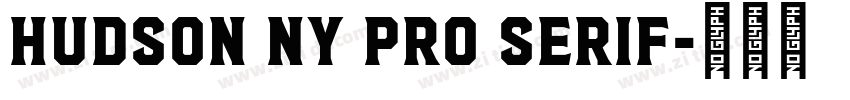 Hudson NY Pro Serif字体转换